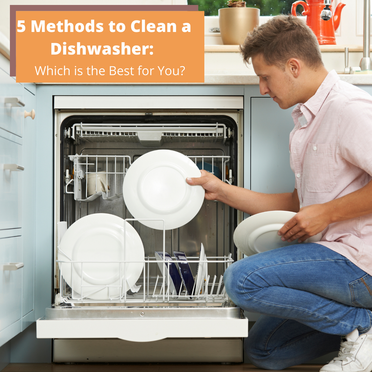 5 Methods to Clean a Dishwasher Which is the Best for You? EcoGals