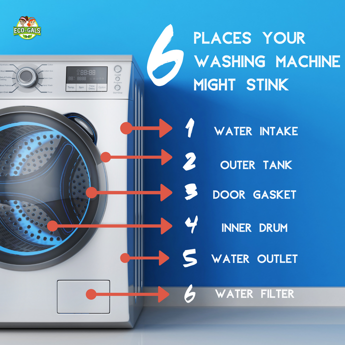 6 Places Your Washing Machine Might Stink